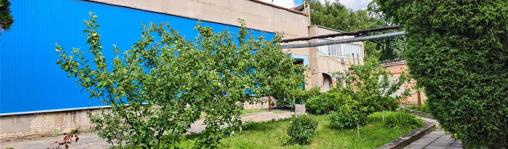 img.jpg